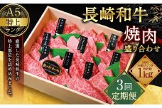 【全3回定期便】【A4～A5特上ランク】長崎和牛 焼肉 盛り合わせ(特上) 約1kg 牛肉 肉 牛 和牛 国産牛 赤身 長崎和牛