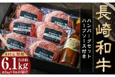 【全6回定期便】【年間1万個売れる！】A4～A5ランク 長崎和牛 ハンバーグ セット 約170g×6個 牛肉 肉 牛 和牛 国産牛 国産 長崎和牛