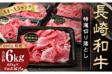 【全6回定期便】【A4～A5ランク】長崎和牛 特選 切り落とし 約1kg (200g×5パック) 牛肉 肉 牛 和牛 国産牛 国産 長崎和牛