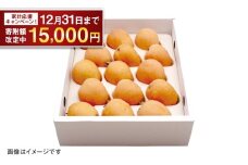【期間限定！～12月31日まで寄附額改定中】先行予約 茂木 びわ『なつたより』2Lサイズ 15玉入り 【2026年5月下旬～6月上旬迄発送予定】 ／  果物 くだもの フルーツ 枇杷 ビワ 長崎 川口農園