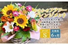 【全6回定期便】 おまかせフラワーアレンジメント 【S】 ／ 花 お花 ギフト プレゼント フラワーギフト Flower