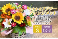 【全12回定期便】 おまかせ フラワーアレンジメント【S】 花 お花 はな 生花 Flower 長崎