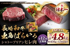 【全12回定期便】長崎和牛 出島ばらいろ シャトーブリアン【ヒレ肉】200g×2枚 合計400g 和牛 牛肉 お肉 A4等級以上 希少部位 長崎