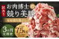 【全3回定期便】【訳あり】長崎県産「競り美豚」モモ 切り落とし 2.5kg