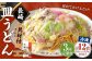 【全3回定期便】《具材付》長崎冷凍皿うどん 総計12食