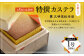 【全6回定期便】特撰カステラ1号