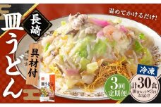 【全3回定期便】《具材付》長崎冷凍皿うどん 総計30食(10食×3回) ／ 長崎皿うどん 長崎 皿うどん さらうどん 麺 麺類 スープ 具付き 具材付き 小分け 簡単調理 グルメ 冷凍 ひふみ 長崎市