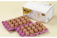 「長崎彩黄卵」 朝採れ玉子 30個入り 鶏卵 採れたて 新鮮卵 たまご タマゴ 冷蔵 長崎