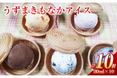 うずまきもなかアイス10個セット ／ 最中 アイス ジャージー牛乳 ジェラート チョコ バニラ 枇杷 イチゴ 抹茶 ラムレーズン クッキークリーム ブルーベリー マンゴー パイナップル シャーベット 冷凍 デザート 長崎