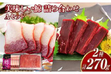 【7営業日以内発送】美味しい鯨 2種 詰め合わせ Aセット (胸肉170g ベーコンスライス100g) ／ 鯨 クジラ 肉 お肉 鯨肉 くじら料理 長崎