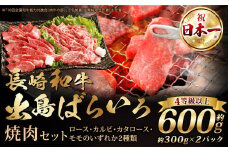 【A4ランク以上】長崎和牛 出島ばらいろ 焼肉セット (ロース カルビ カタロース モモ のいずれか2種類) 約300g×2 合計600g ／ 和牛 国産 お肉 肉 牛肉 牛 焼き肉 焼肉 セット A4等級 BBQ バーベキュー アウトドア 肉のマルシン 出島 長崎県 長崎市