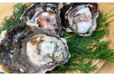 【20セット限定】長崎市産 岩牡蠣 「夏盛」NATSUZAKARI 約2.8kg(8個～13個程度) ／ 夏盛 なつざかり 生食  カキ 牡蠣 【2025年6月上旬ごろ以降準備が整い次第順次発送】