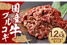 国産牛 プルコギ 約1.2kg (300g×4) ／ 肉 お肉 牛肉 牛 簡単調理  焼き肉 焼肉 韓国料理 グルメ 冷凍 惣菜 炒めるだけ 肉のマルシン 長崎県 長崎市