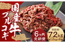 【全6回定期便】国産牛 プルコギ 約1.2kg (300g×4)  合計約7.2kg ／ 肉 お肉 牛肉 牛 簡単調理 焼き肉 焼肉 韓国料理 グルメ 冷凍 惣菜 炒めるだけ 肉のマルシン 長崎県 長崎市