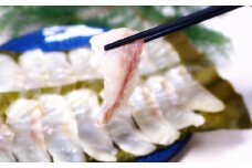 長崎の森で育てた『幻のクエ』昆布〆 刺身用  5～6人前 (1kg～2kg前後) ／ 魚 海鮮 魚介類 高級魚クエ  刺身 刺し身 頭付き 長崎県 長崎市