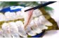 長崎の森で育てた『幻のクエ』昆布〆 刺身用  5～6人前（本体重量計約1kg）／ 魚 海鮮 魚介類 クエ  刺身 頭付き