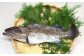 長崎の森で育てた『幻のクエ』昆布〆 刺身用  5～6人前（本体重量計約1kg）／ 魚 海鮮 魚介類 クエ  刺身 頭付き