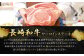 長崎和牛サーロインステーキ2枚セット 合計500g (250g×2枚) ／ 国産 ソース付き ステーキ 肉 お肉 和牛 