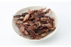【7営業日以内発送】イカの煮干し (長崎県産) ／ タイレイ イカ いか 煮干し 海鮮 魚介 長崎