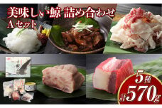 【7営業日以内発送】美味しい鯨5種詰め合わせAセット ( 大和煮缶詰170g オバ鯨100g ベーコンブロック100g 湯かけくじら100g さえずりブロック100g ) ／ かけぽん酢 からし酢味噌 クジラ くじら 鯨 おかず ご飯のお供 おつまみ 長崎県 長崎市