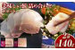 美味しい鯨 2種 詰め合わせ Cセット ( すえひろスライス100g さえずりスライス40g )