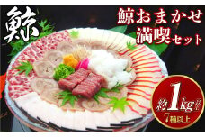 【7営業日以内発送】鯨おまかせ満喫セット (7種類以上) ／ 鯨 くじら クジラ 鯨刺身 鯨肉 鯨文化 くじら文化 長崎県 長崎市