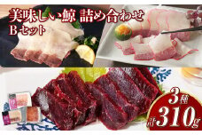 【7営業日以内発送】美味しい鯨 3種 詰め合わせ Bセット ( 背肉230g以上 ベーコンスライス40g すえひろスライス40g ) ／ 鯨 くじら クジラ 鯨刺身 鯨肉 鯨文化 くじら文化 ミンク鯨 イワシ鯨 長崎県 長崎市