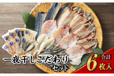 一夜干しこだわりセット ／ ノルウェーさば塩 あじ塩 かます開き 連子鯛開き ふぐ イサキ 鯖 サバ 鯵 アジ カマス タイ フグ 河豚 干物 ひもの 魚介類 真空パック 冷凍 長崎県 長崎市