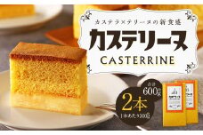 【14営業日以内発送】長崎カステリーヌ 2個セット 計600g (約300g×2)  ／ タナカヤ カステラ かすてら スイーツ デザート お菓子 菓子 長崎県 長崎市