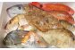 長崎漁港発！長崎近海産旬の鮮魚セット (中) 