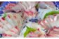 丸ごと1本！長崎近海 活き〆天然寒ヒラス (ヒラマサ) 5kg台 (5.2〜5.8kg) 