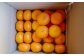 長崎県産 晩生温州みかん M～Lサイズ 5kg