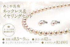 【オーロラ花珠鑑別鑑定書付】あこや真珠 (8.5－9mm珠) ネックレス & イヤリング セット ／ ジュエリー アクセサリー パール 長崎県 長崎市 園田真珠