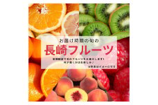 【年4回定期便(3月・6月・9月・12月配送)】お任せフルーツ！L(春) ／  フルーツ 果物 くだもの 旬 おまかせ お任せ お楽しみ 長崎県 長崎市