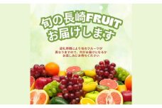 旬をお届け！何が届くのか？お任せフルーツ！【M】 ／ フルーツ 果物 くだもの 旬 おまかせ お任せ お楽しみ 長崎県 長崎市