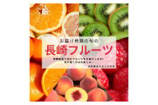 【年4回定期便(1月・2月・3月・4月配送)】お任せフルーツ！ M ／  フルーツ 果物 くだもの 旬 おまかせ お任せ お楽しみ 長崎県 長崎市