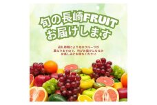 【年4回定期便(3月・6月・9月・12月配送)】お任せフルーツ！ S ／  フルーツ 果物 くだもの 旬 おまかせ お任せ お楽しみ 長崎県 長崎市