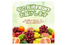 旬をお届け！何が届くのか？お任せフルーツ！【L】 ／  フルーツ 果物 くだもの 旬 おまかせ お任せ お楽しみ 長崎県 長崎市