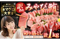 【訳あり】みやび鮪 規格外切り落とし (大トロ・中トロ・赤身)  部位おまかせ 計1kg ／ マグロ 鮪 まぐろ 刺し身 刺身 国産 本まぐろ 本鮪 冷凍 魚 魚介 まぐろ丼 まぐろ漬け丼 海鮮丼 おすすめ 長崎