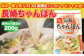 【全3回定期便】《具材付》長崎冷凍ちゃんぽん 総計30食 (10食×3回) 