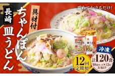 【全12回定期便】《具材付》長崎冷凍ちゃんぽん (5食)・皿うどん (5食) 総計120食 (10食×12回) ／ 長崎ちゃんぽん 長崎皿うどん チャンポン 麺 麺類 簡単調理 長崎名物 ご当地 セット 詰合せ 長崎 長崎県 長崎市