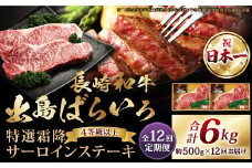【全12回定期便】長崎和牛「出島ばらいろ」特選霜降 サーロインステーキたっぷり500g ／ 国産 A4等級以上 和牛 牛肉 お肉 ステーキソース 塩コショウ付き 冷凍 長崎