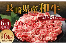 【全6回定期便】長崎県産和牛 切り落とし 1kg (500g×2パック) ／ 和牛 牛肉 牛 お肉 肉 国産 切落し きりおとし 肉のマルシン 長崎県 長崎市