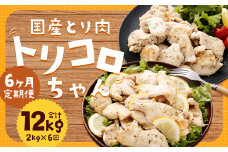 【全6回定期便】国産 鶏肉 トリコロちゃん 計2kg (500g×4パック) ／ バジルペッパー レモンペッパー ソテー用 鶏胸肉 お肉 ソース 肉のマルシン 長崎県 長崎市