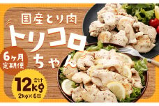 【全6回定期便】国産 鶏肉 トリコロちゃん 計2kg (500g×4パック) ／ バジルペッパー レモンペッパー ソテー用 鶏胸肉 お肉 ソース 肉のマルシン 長崎県 長崎市
