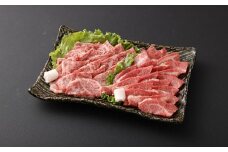 【全6回定期便】長崎和牛 食べ比べコース ／ ロース すき焼き サーロイン ステーキ 焼き肉 焼肉 ブロック 塊肉 切り落とし 切落し ハンバーグ 和牛 国産 お肉 牛肉 お肉 肉のマルシン 長崎県 長崎市
