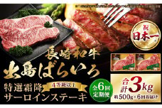 【全6回定期便】長崎和牛「出島ばらいろ」特選霜降 サーロインステーキたっぷり500g ／国産 A4等級以上 和牛 牛肉 お肉 ステーキソース 塩コショウ付き 冷凍 長崎