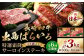【全6回定期便】長崎和牛「出島ばらいろ」特選霜降 サーロインステーキたっぷり500g