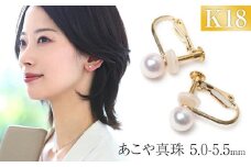 【7営業日以内に発送】あこや真珠 5.0-5.5mm 保証書付 イヤリング 18金 K18 ベビーパール ／ アコヤ真珠 真珠 アクセサリー ジュエリー 長崎県 長崎市