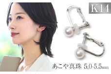 【7営業日以内に発送】あこや真珠 5.0-5.5mm 保証書付 イヤリング K14WG ベビーパール ／  アコヤ真珠 真珠 アクセサリー ジュエリー 長崎県 長崎市